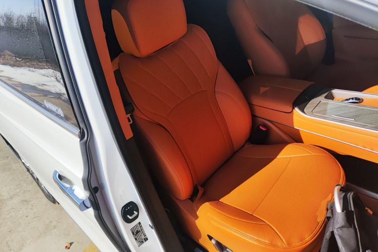 Used Wey Gaoshan 2025 Four-Wheel Drive Alpine 8
