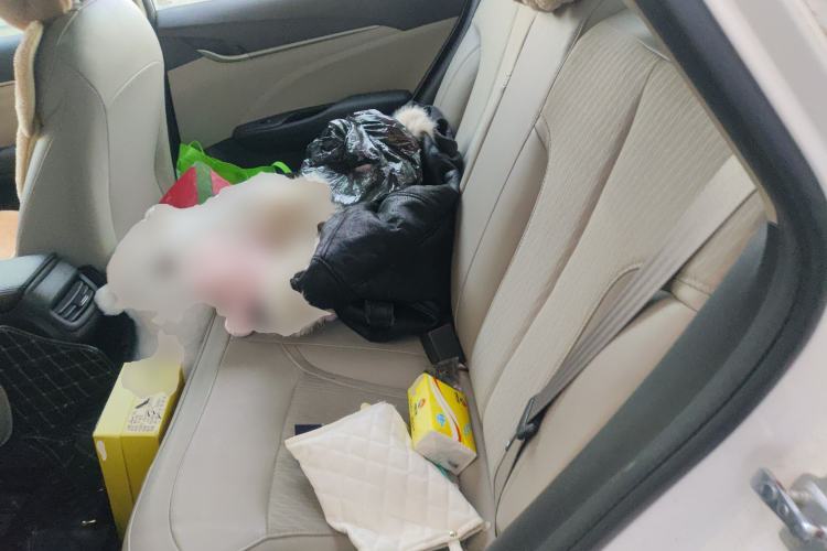 Used Buick GT 2017 15N Automatic Elite Version