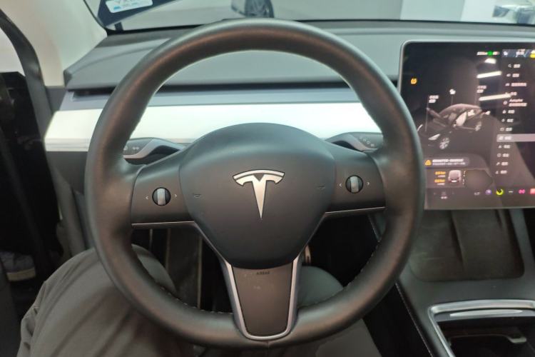 Used Tesla Model Y 2021 Standard Range Rear-Wheel Drive Version
