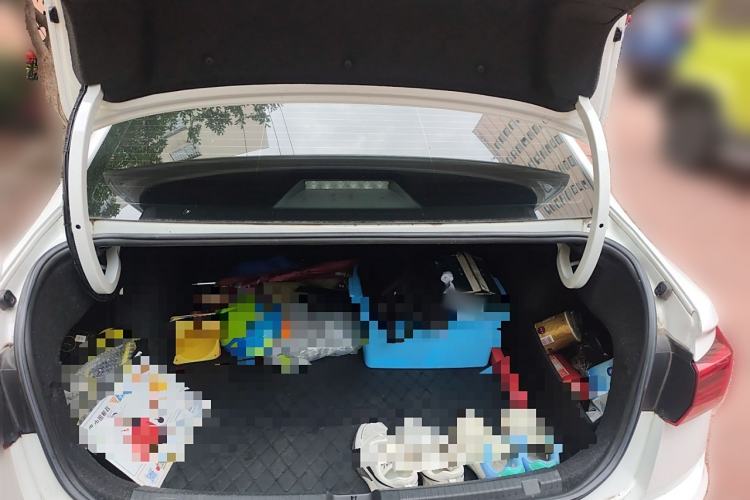 Used Volkswagen Bora Pure Electric 2020 Shan Model