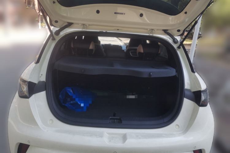 Used BYD Dolphin 2024 Honor Edition 420km Freedom Version
