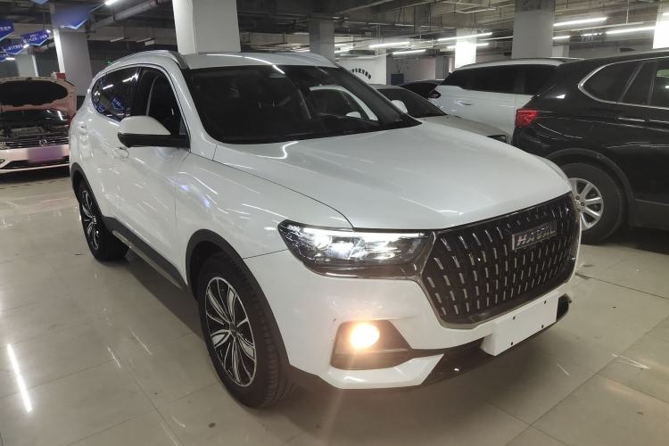 Used Haval H6 2023 National Trend Edition 1.5T Automatic Champion Version
