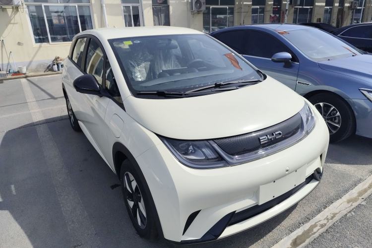 Used BYD Dolphin 2025 420km Free Edition