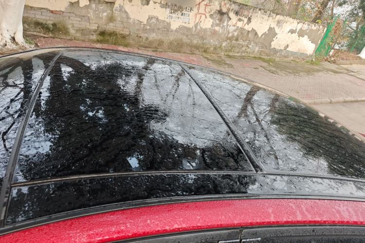 Used Nissan Teana 2021 2.0L XL Comfort Edition
