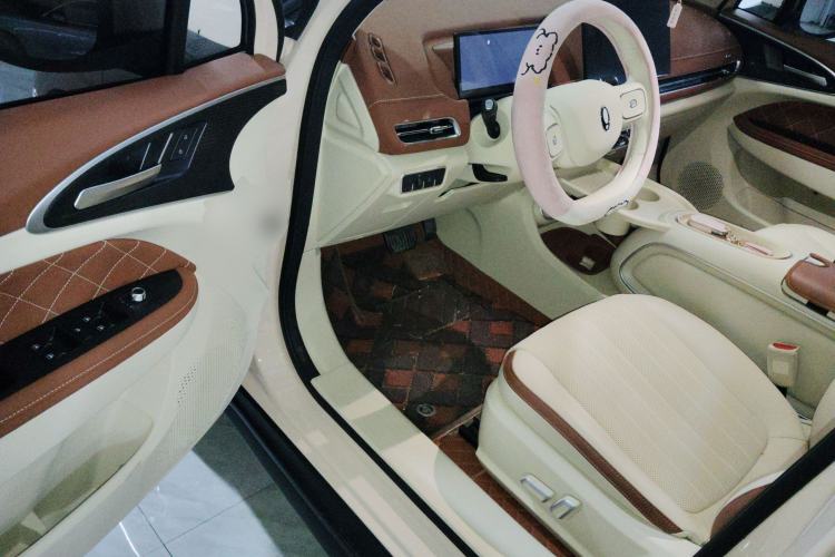 Used ORA Good Cat 2025 Model, 430 km Luxury Version