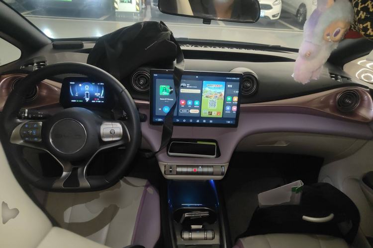 Used BYD Dolphin 2021 401km Knight Edition Center Console