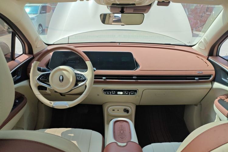 Used ORA Good Cat 2024 401 km Luxury Version Center Console