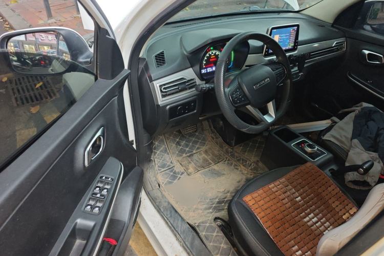 Used Dayun Yuehu 2022 30.66 kWh Two-Wheel Drive Standard Version