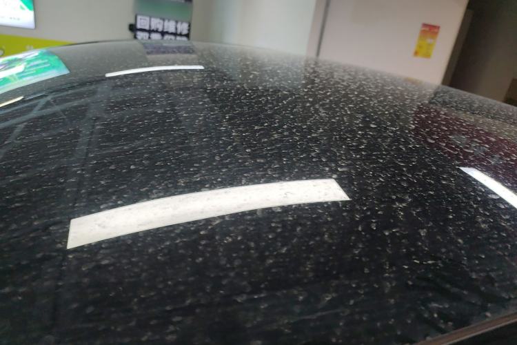 Used Tesla Model Y 2023 Rear-Wheel-Drive Version Roof