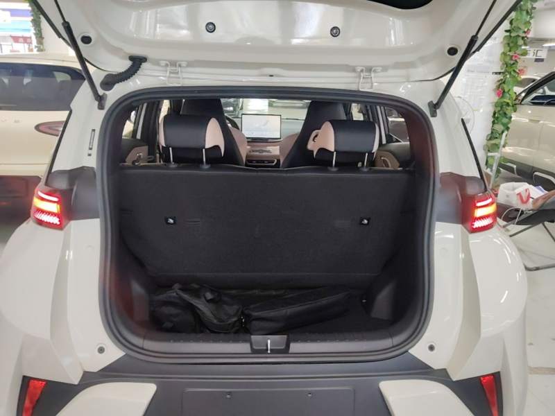Used BYD Seagull 2025 Smart Drive Version 305 km Freedom Edition — 18
