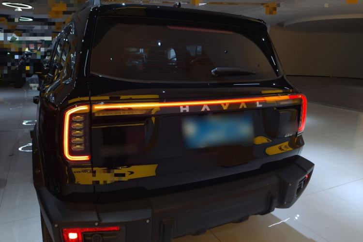 Used Haval DARGO 2024 2.0T DCT Chinese Rural Dog Edition