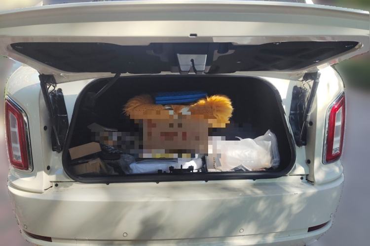 Used LEVC TX 2022 TX5 Extended-Range Space Enjoyment Edition