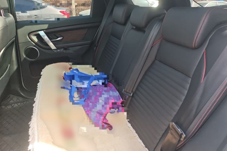 Used Land Rover Discovery Sport 2022 Revised Version 249 PS R-Dynamic S Performance Edition 5 Seats
