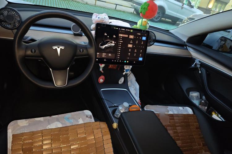 Used Tesla Model 3 2022 Rear-Wheel-Drive Version