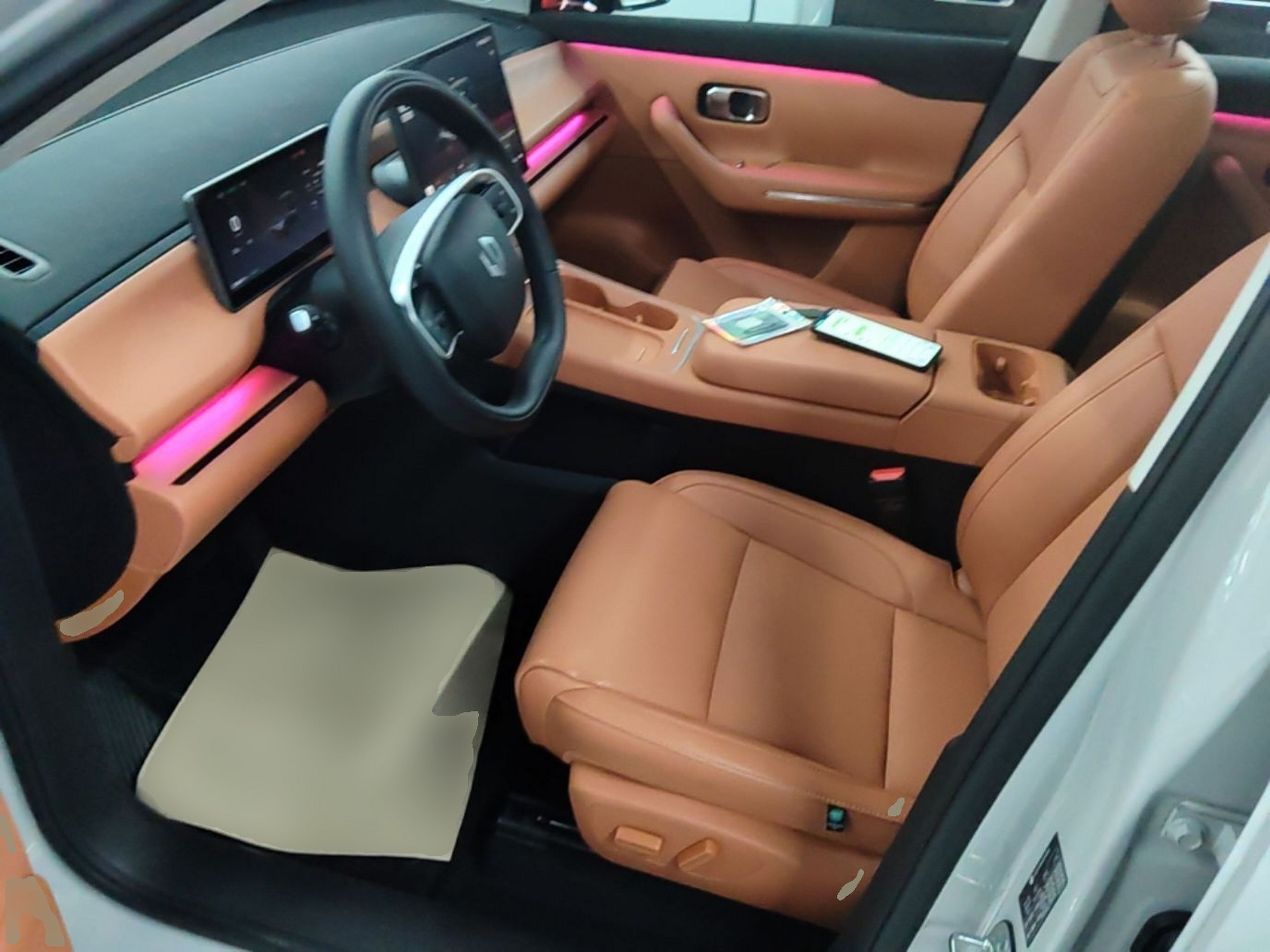 Interior delantero