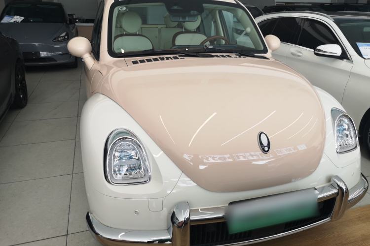 Used ORA Ballet Cat 2023 401 km Luxury Version Exterior 1