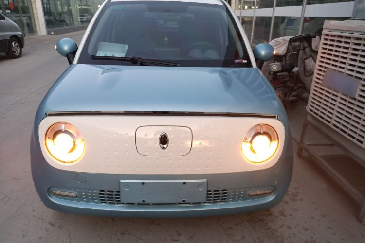 Used ORA Black Cat 2019 351 km Family Edition Front