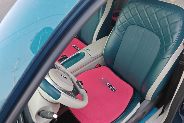 Used ORA Good Cat 2023 401 km Standard Range Luxury Version Ternary Lithium Left Front Seat