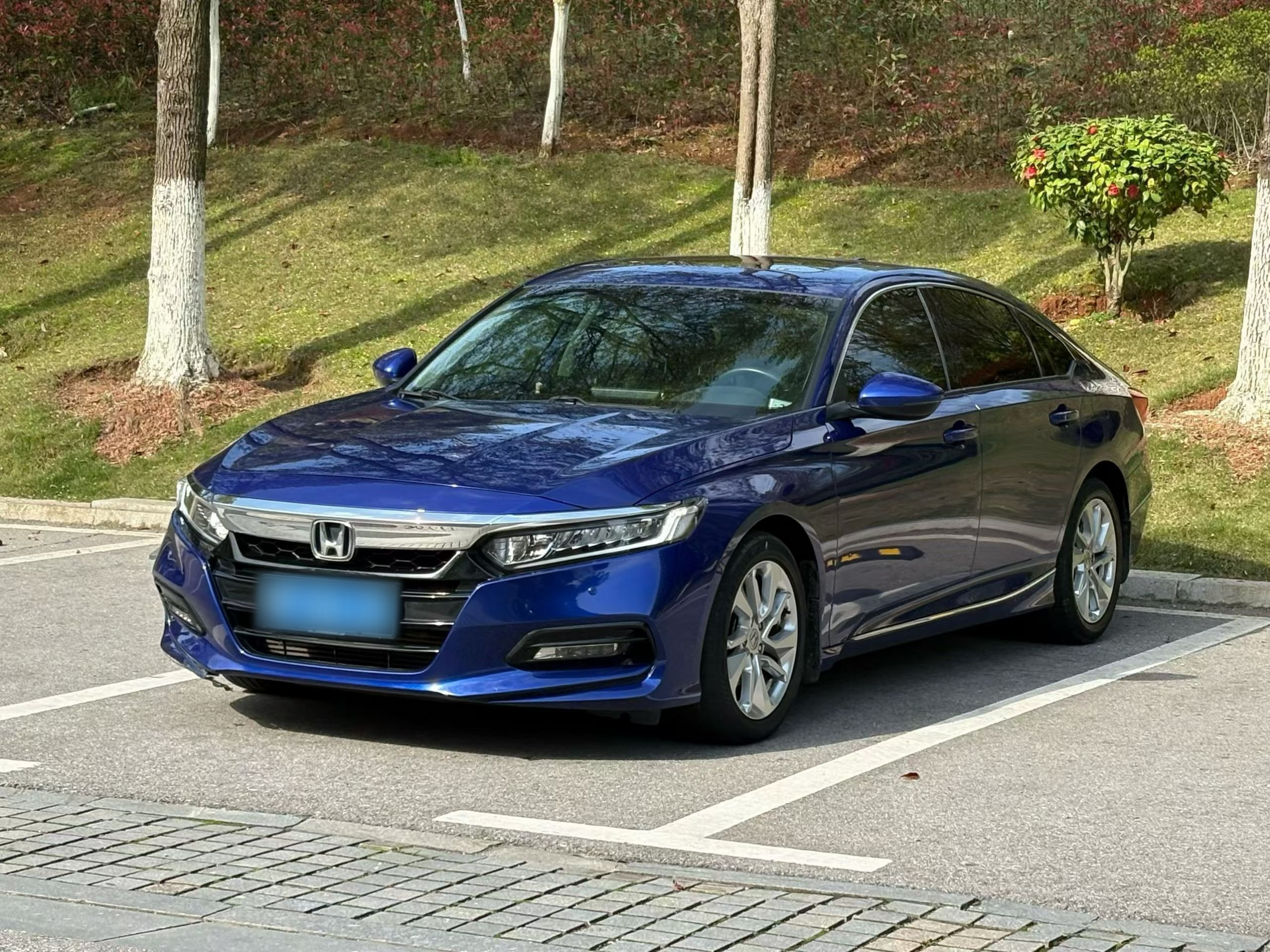 Under Front Bumper