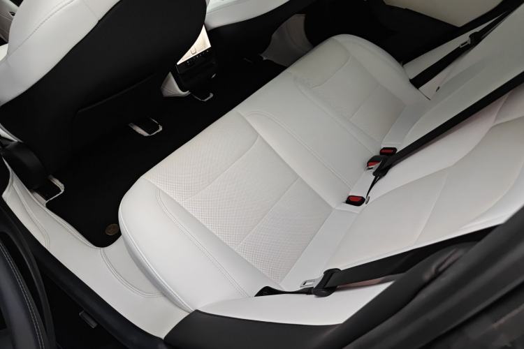 Used Tesla Model 3 2023 Rear-Wheel-Drive Version Left Rear Seat