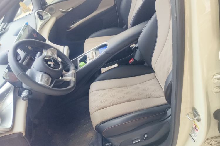 Used BYD Dolphin 2025 420km Free Edition Left Front Seat