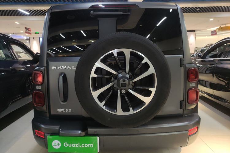 Used Haval H9 2024 2.0T Gasoline All-Wheel-Drive Extreme Edition