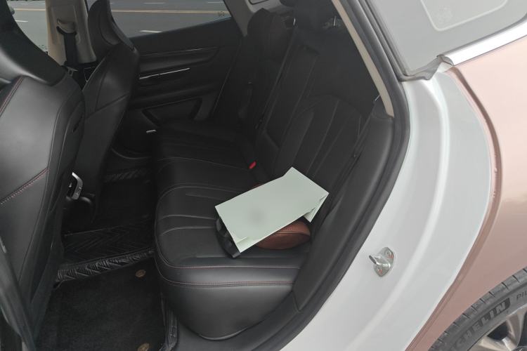 Used XPeng P7 2021 670G Left Rear Seat