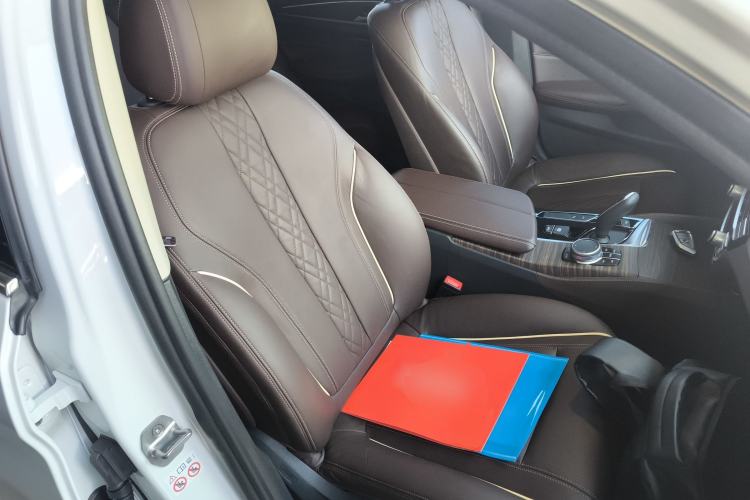 Used BMW 5 Series New Energy 2019 Updated Version 530Le Luxury Package Right Front Seat