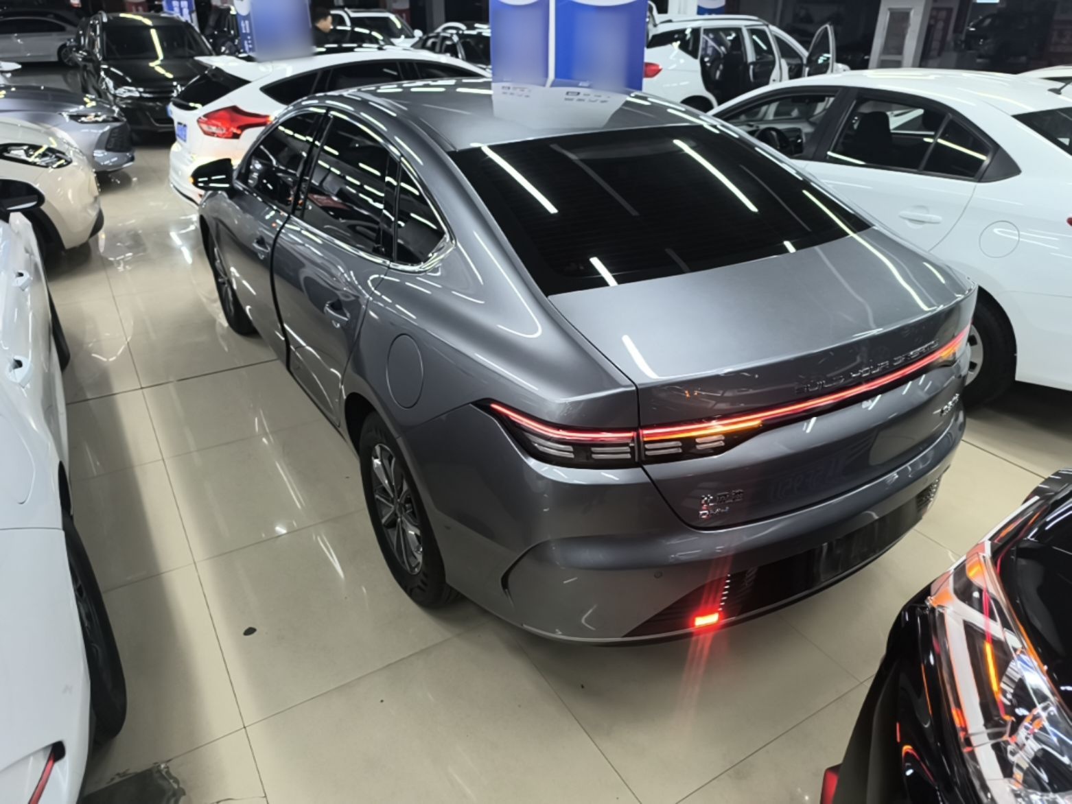 BYD Destroyer 05 2023 Champion Edition DM-i 55KM Luxury Model — снимка 4
