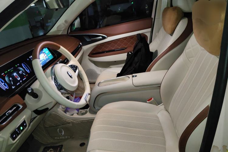 Used ORA Good Cat 2023 401 km Standard Range Prestige Version Lithium Iron Phosphate Left Front Seat