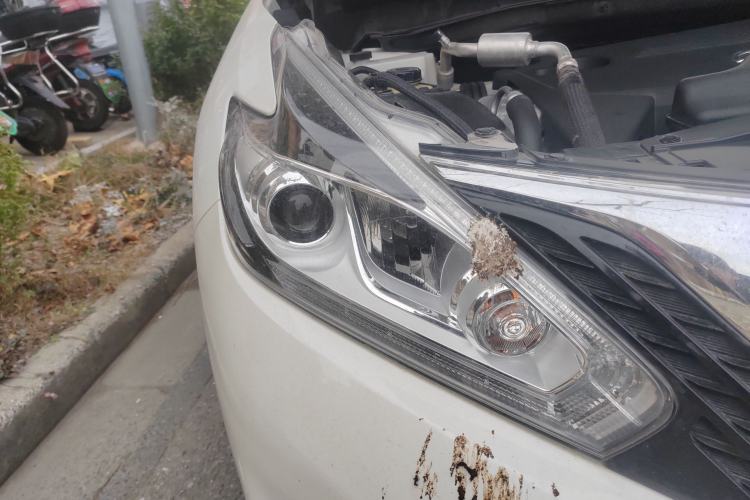 Used Nissan Murano 2021 2.5L XL Two-Wheel Drive Smart Connect Luxury Edition
