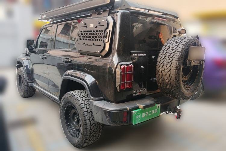 Used Tank 300 New Energy 2024 Hi4-T