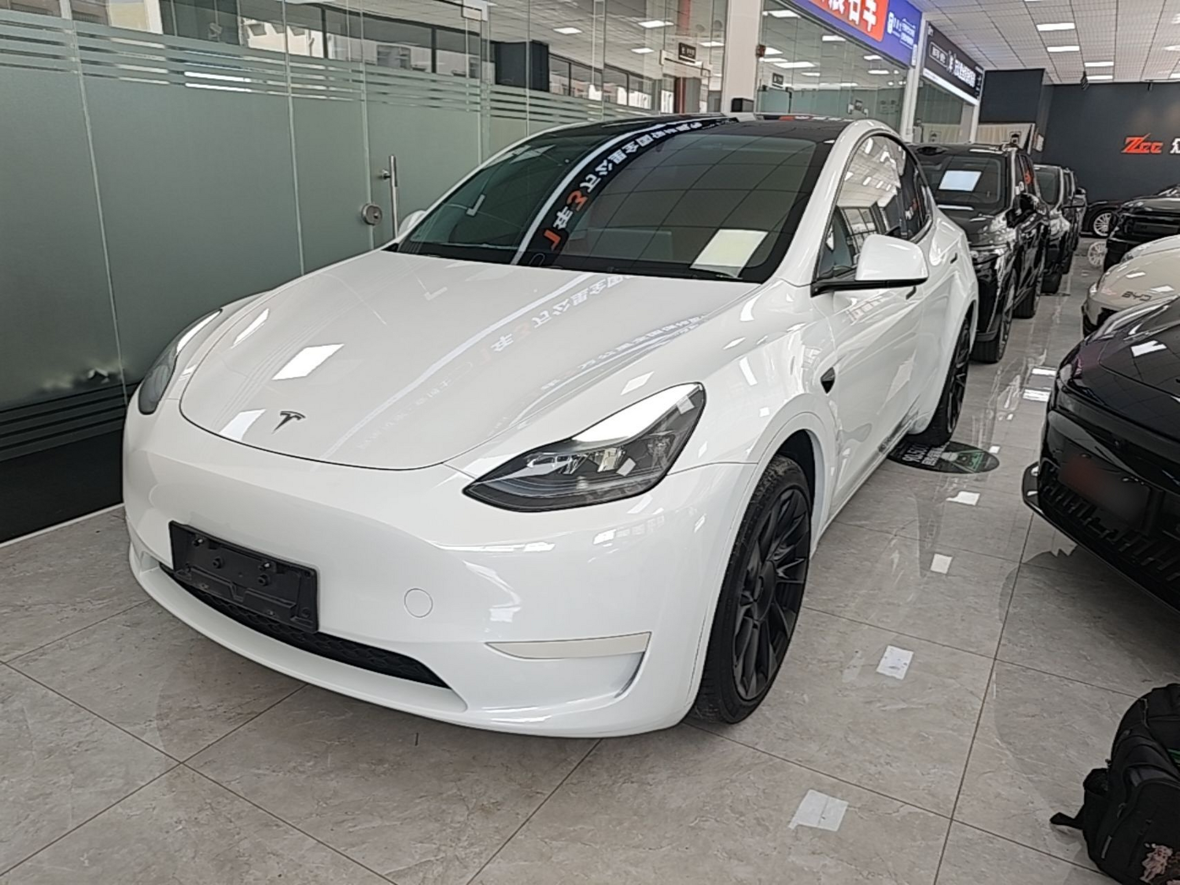 Under Front Bumper