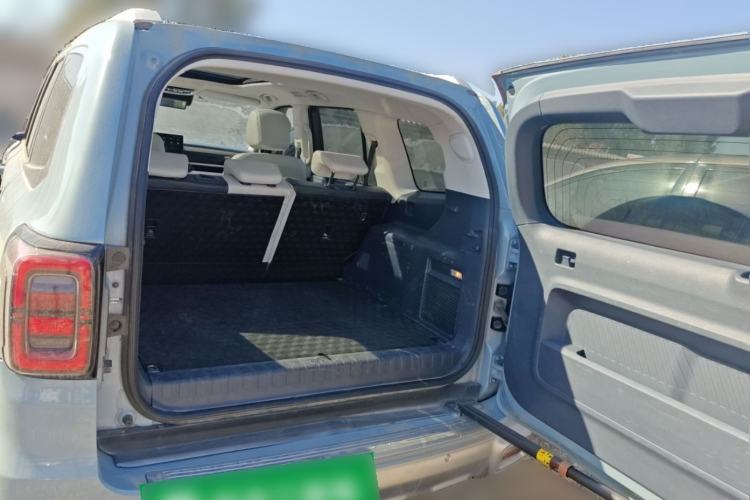 Used BAIC Off-Road BJ60 2022 2.0T May Day Edition Five Seats
