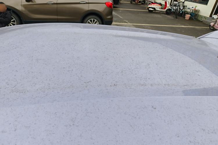 Used BYD Dolphin 2023 420 km Free Version