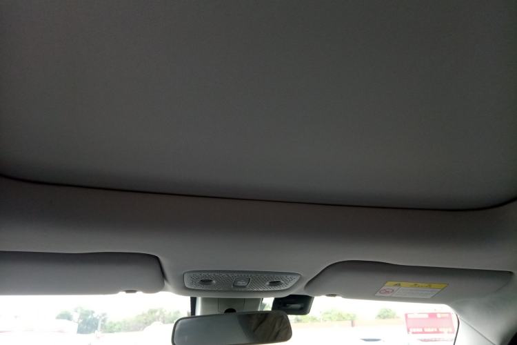 Used Leapmotor T03 2021 400 Luxury Edition Headliner