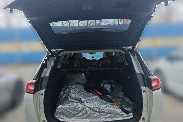 Used WM Motor W6 2021 520km PRO All-Round Edition
