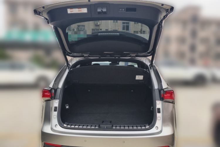 Used Lexus NX 2020 300h Front-Drive FENGSHANG Version China VI Standard Trunk