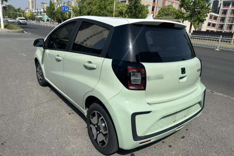 Used SOL E10X 2022 Flower Fairy Style Baby's Breath