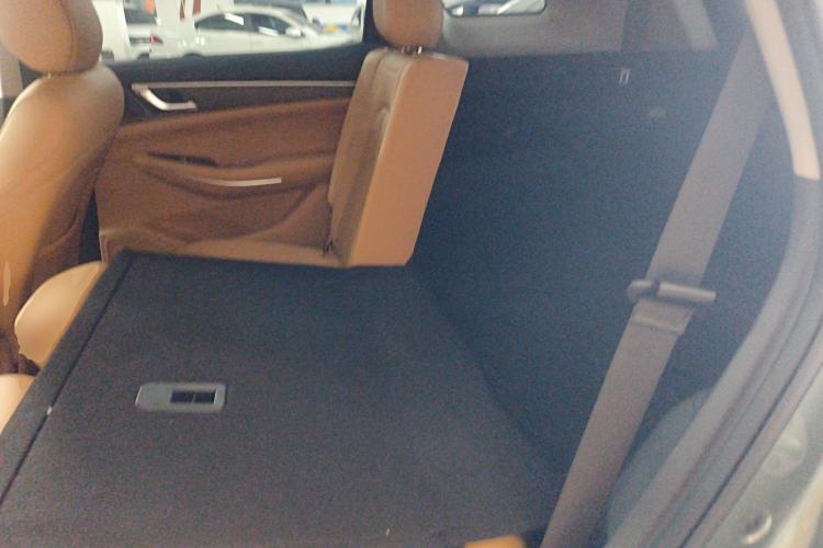 Used Landian E5 2024 Honor Edition 100KM Comfort Model 7 Seats Left Rear Seat