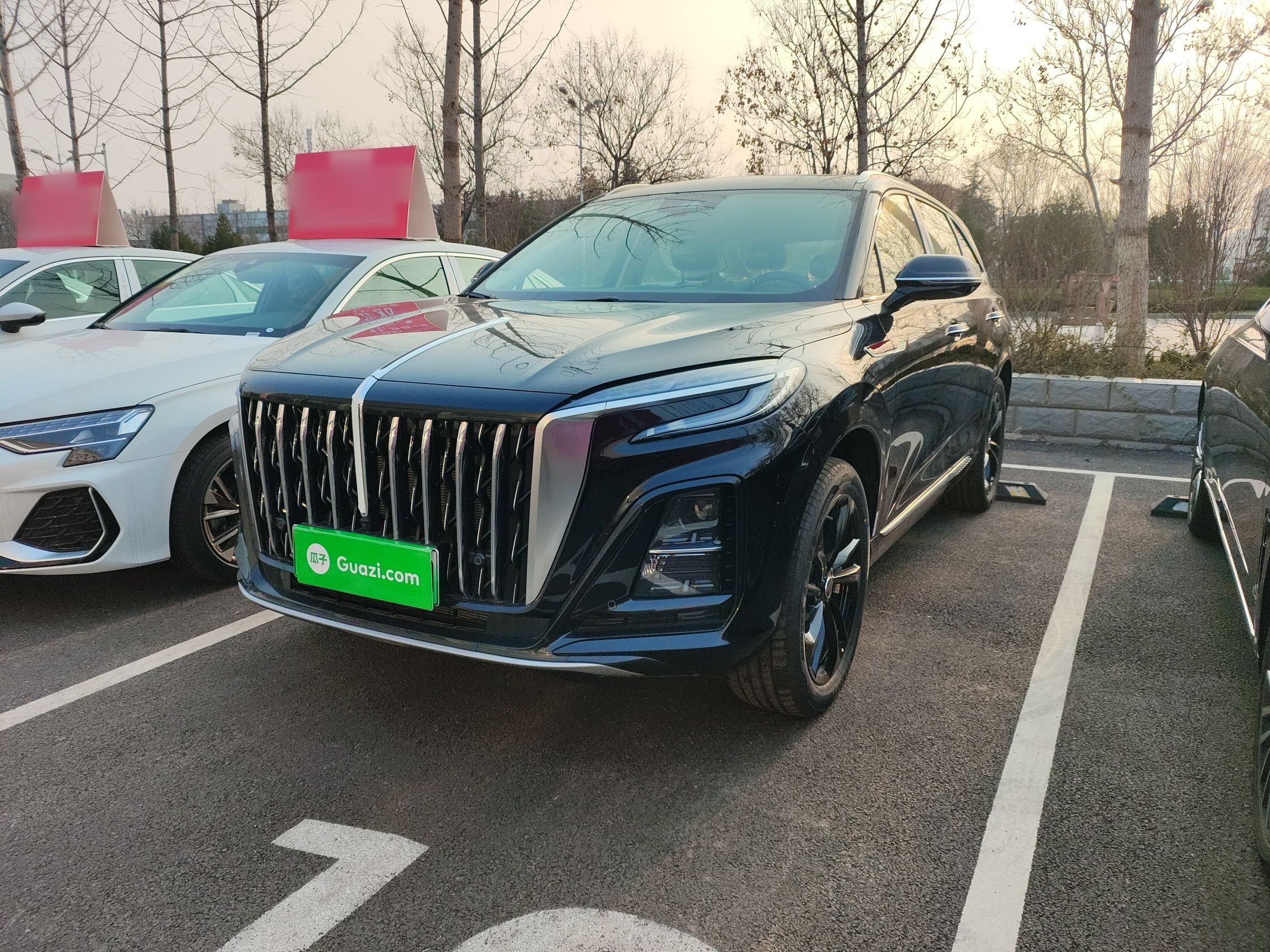 Parte inferior delantera