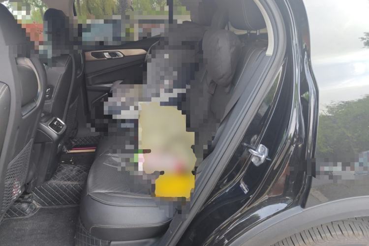 Used Lynk & Co 01 2019 2.0T Two-Wheel-Drive Pro Version China VI Standard Left Rear Seat