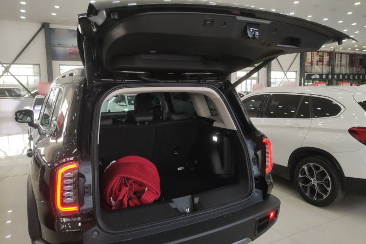 Used Haval DARGO 2024 2.0T DCT Chinese Rural Dog Edition
