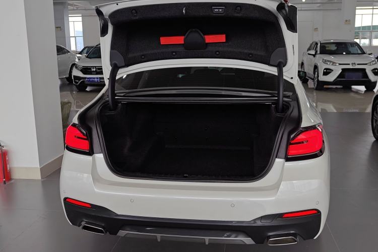 Used BMW 5 Series 2021 530Li Leading Model M Sport Package