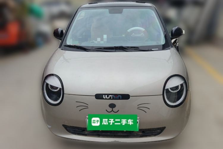 Used Qiyuan Lumin 2023 205km Xiangqin Version

