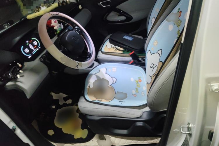 Used Leapmotor T03 2022 Crystal Edition Left Front Seat