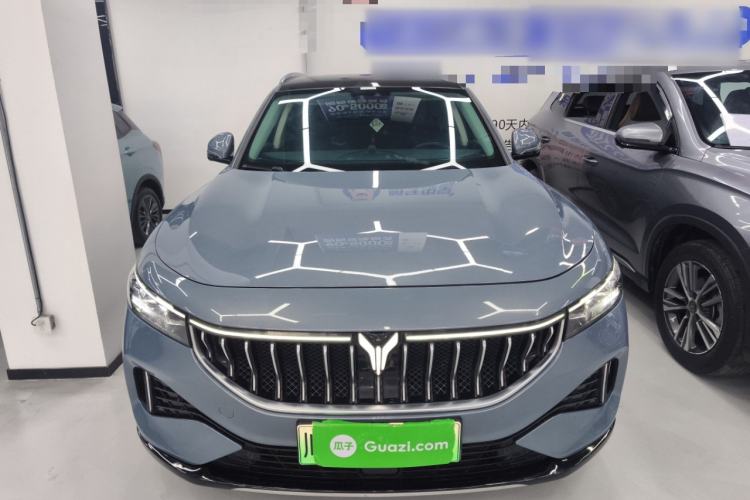 Used VOYAH FREE 2021 Four-Wheel Drive Standard Range-Extended Exclusive Luxury Package Front