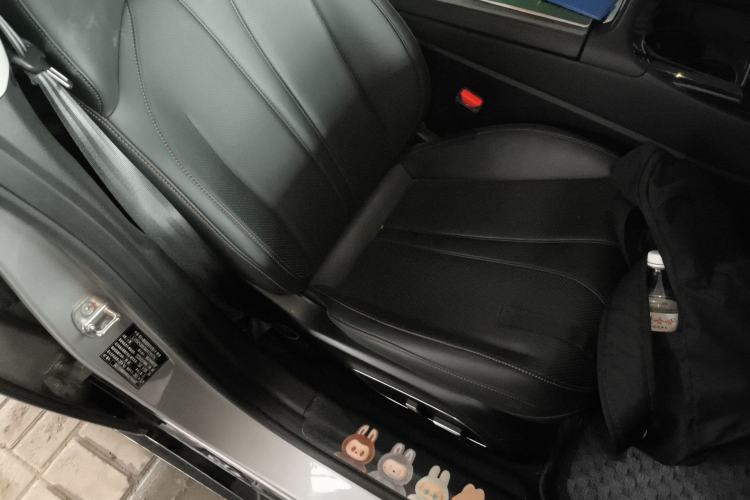 Used XPeng P7 2022 670E+ Right Front Seat