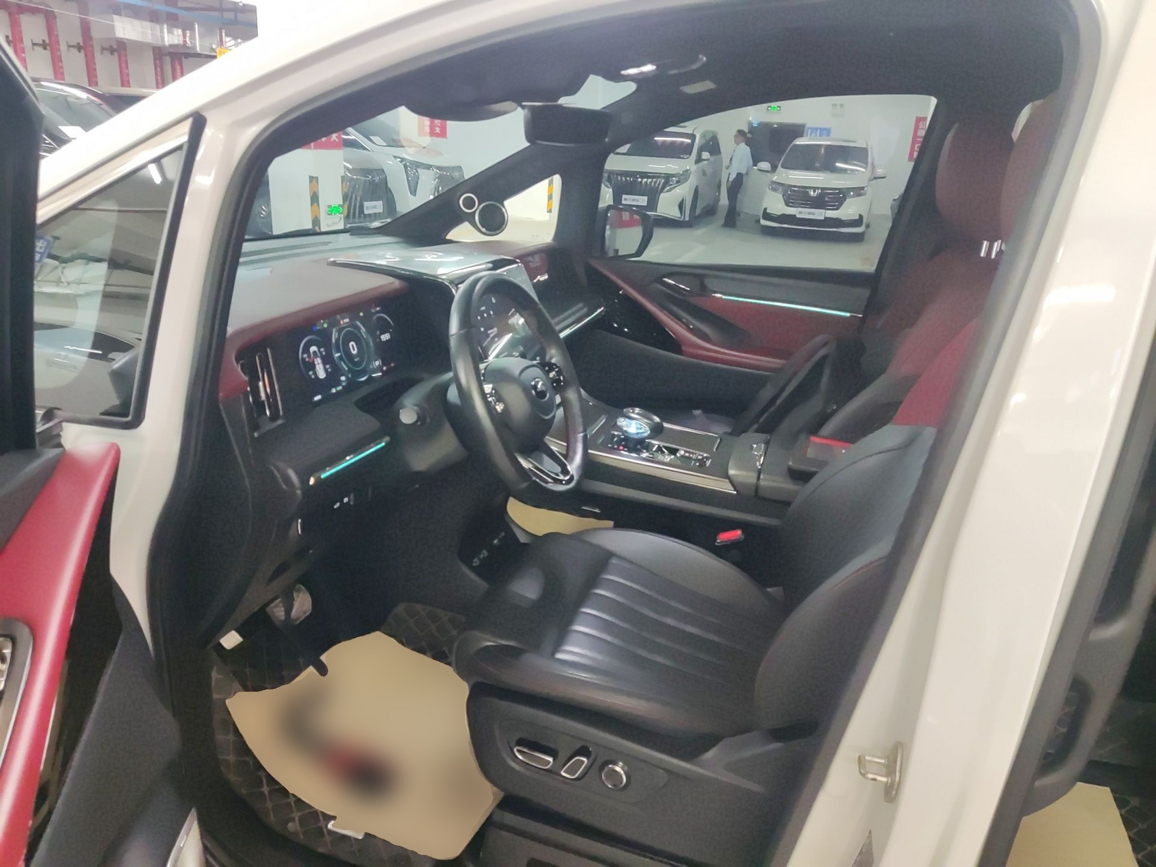 Interior delantero
