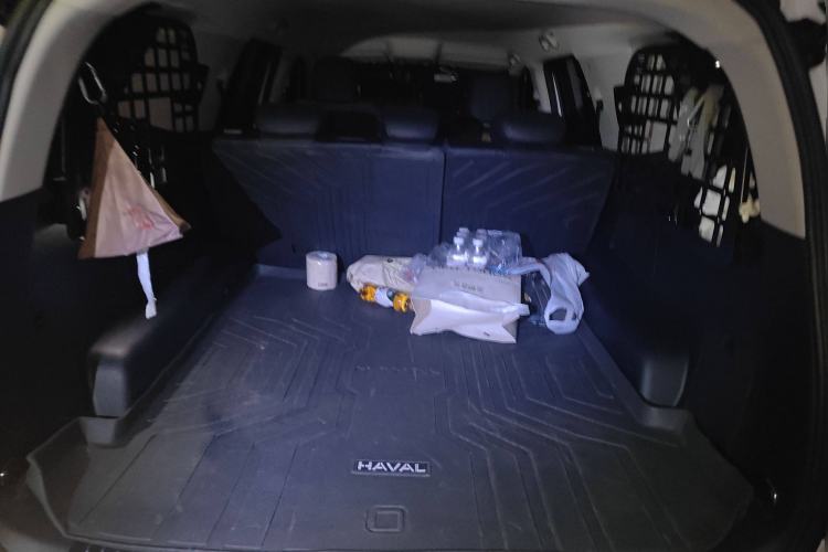 Used Haval H5 2023 2.0T Automatic All-Wheel Drive LinkedIn Gasoline